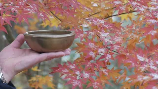 Winter Healing & Rejuvenation Meditation w/Ancient Lingam Bowl~1st Snowfall  w/Maple Tree! Peace!