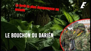 la JUNGLE DU DARIÉN, l'une des FORÊTS LES PLUS DANGEREUSES au monde