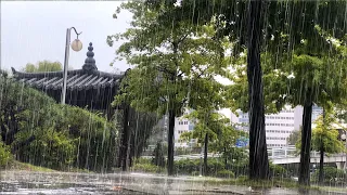 (4K) Walking in Heavy Rain | Rain Sounds for Relaxing Calm Mind and Deep Sleep | South Korea | 비오는날