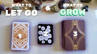 What To Let Go 🍂 What To Grow 🌱 Pick A Deck ✨ Tarot Reading