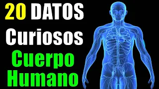 20 Datos Curiosos y Fascinantes del Cuerpo Humano