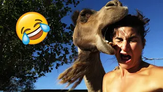 Best Funny Videos🤣 Try Not To Laugh🤣 Funny & Hilarious People's Life 😂#27