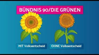 Grüne gegen die direkte Demokratie - vernünftig oder fahrlässig?