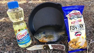 JUMBO Bluegill Catch & Cook!!