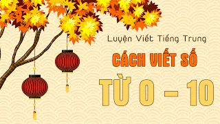 TỰ HỌC TIẾNG TRUNG TỪ A-Z #15: LUYỆN VIẾT - Số Đếm Từ 0 Đến 10