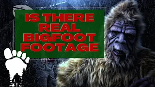 IS THERE REAL BIGFOOT FOOTAGE?