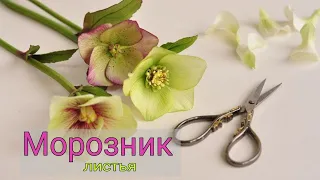 Master class Hellebore from foamiran | How to make leaves with your own hands