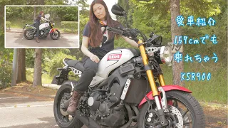 【XSR900】Noa　１５７ｃｍでも乗れる愛車紹介　【バイク女子】