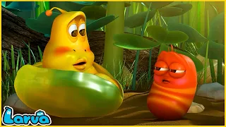 Larva Tuba - NHÀ POP IT - ẤU TRÙNG TINH NGHỊCH - PHIM HOẠT HÌNH LARVA MỚI NHẤT 2022