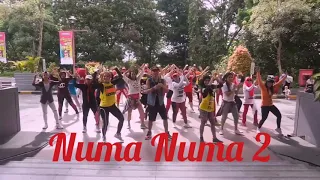 NUMA NUMA 2 By DAN BALAN , ZUMBA CHOREOGRAPHY BY RULYA ,ZUMBA FITNESS