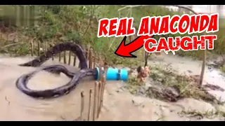 Top 10 Horrifying Fishing Videos Caught on Camera