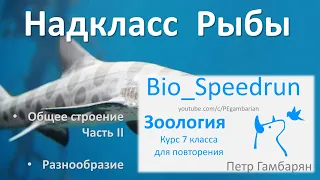 17. Рыбы часть II (Speedrun зоология 7 класс, ЕГЭ, ОГЭ 2021)