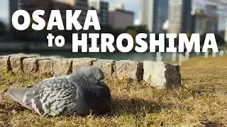 OSAKA TO HIROSHIMA | JAPAN BUS TRAVEL | LIFE IN JAPAN | The Tao of David