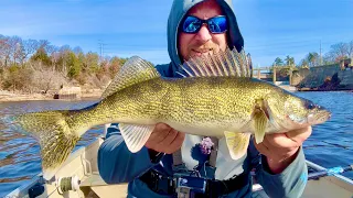 Walleye Fishing in Wisconsin! I caught a GIANT on the Wisconsin River!