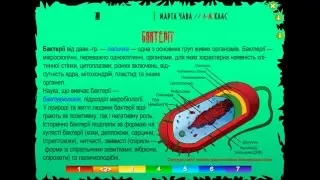 6 КЛАС - Корисні бактерії