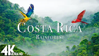 Costa Rica Rainforest 4k - Relaxing Music Along With Beautiful Nature Videos (4K Video Ultra HD)