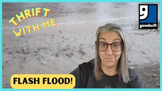 We Had a Flash Flood | Thrift With Me at Goodwill in Las Vegas