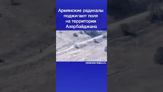 Армянские радикалы поджигают поля на территории Азербайджана