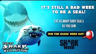 IT'S A BAD WEEK TO BE A SEAL (HUNGRY SHARK EVOLUTION)