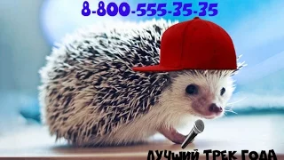 ЛУЧШАЯ ПЕСНЯ ГОДА! 8 800 555 35 35.