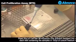 Cell Proliferation Assay (MTS)