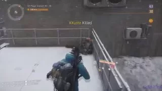 The Division: Cleanup Crew and..Bullying? (Rogue Kills Moments)