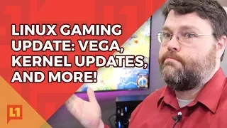 RX Vega 64 faster than 1080ti (On Linux)!? Yes, but...