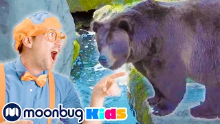 BLIPPI at the Zoo - Feeding the Animals! | Learn | ABC 123 Moonbug Kids | Educational Videos