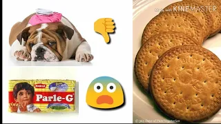 Can you serve biscuits to dogs||Animals are awesome