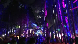 Electric Forest 2018 at Night