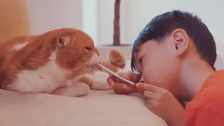 Cat vs Kid - Cat Snack Finding