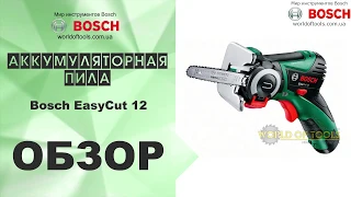 Аккумуляторная пила Bosch EasyCut 12
