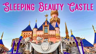 Sleeping Beauty Castle | DOCUMENTARY