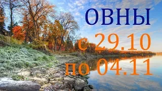 ОВНЫ. ТАРО-ПРОГНОЗ на НЕДЕЛЮ с 29.10 по 04.11. 2018г.