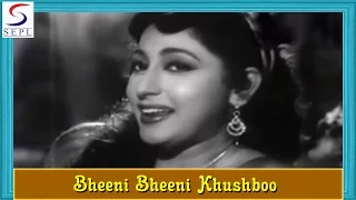 Bheeni Bheeni Khushboo | Lata Mangeshkar @ Nausherwan E Adil | Raaj Kumar, Mala Sinha