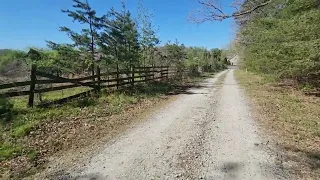 Walking on a Long Gravel Driveway In the Woods (No Talking)