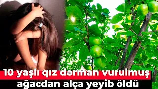 10 yaşlı qız dərman vurulmuş ağacdan alça yeyib öldü