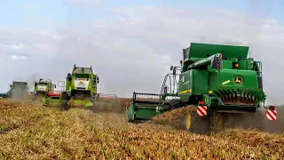 🔥6 Kombajnów W Akcji!🔥600ha Rzepaku || Żniwa na Wielką Skalę w OHZ Garzyn || Big Harvest in Poland