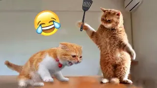 Funniest Animals 2023 😹 Best Funny Cats and Dogs Videos 😂🐶 Part 14