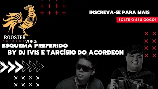 ESQUEMA PREFERIDO - Dj Ivis e Tarcísio do Acordeon KARAOKÊ