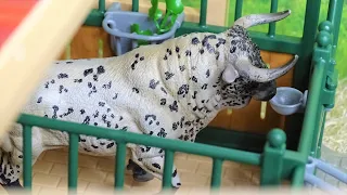 BULL FIGHT/ STOP MOTION/ RODEO Schleich/ TOROS