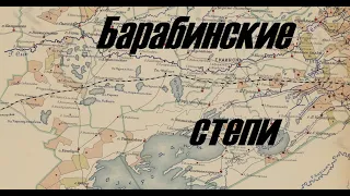 Барабинские  степи