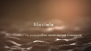 Аеробне та анаеробне оксилення глюкози. Обмін моносахаридів. Частина друга. Біохімія