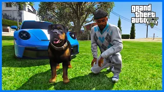 KOUPIL JSEM SI PSA NA ČESKÉM FIVEM SERVERU! 🐶 (GTA 5 FiveM)