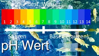 pH Wert Grundlagen fürs Koi Teich & Aquarium Hobby