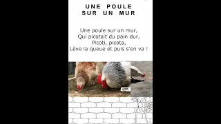 une poule sur un mur poésie, comptine maternelle