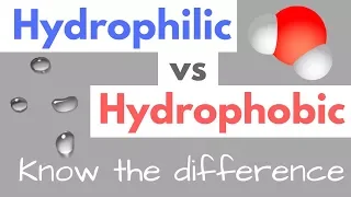 Hydrophilic vs Hydrophobic | Substances | Cell Membranes