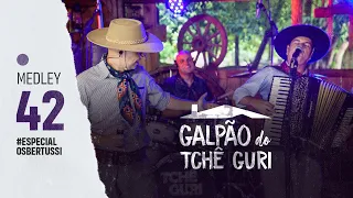 MEDLEY42 #ESPECIALOsBertussi |Cavalo Preto, Festa do Morro Feio, Cancioneiro das Coxilhas @Tchê Guri