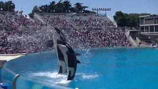 One Ocean (Full Show/Full HD) - May 22 2016 - SeaWorld San Diego