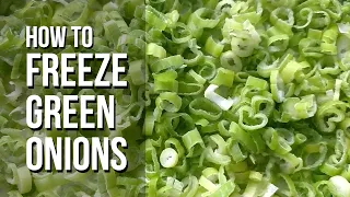 How To Freeze Chopped Green Onion (Scallions)